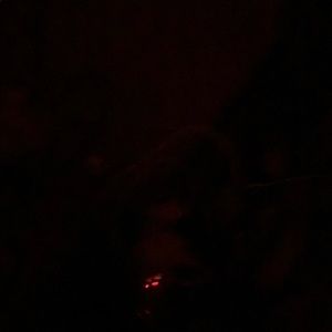 Meet your Posher, Gregory